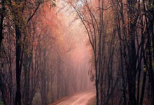 leyu乐鱼体育:辽篮虽跌至第六但无伤大雅,收官战发力必回四强,半决赛对手曝光.