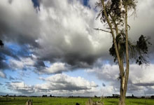 费兰问答:若夺冠将和鲨鱼一起游泳;若可以想签下穆西亚拉.