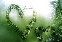 国际奥委会新当选主席举行新闻发布会.